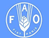fao oon